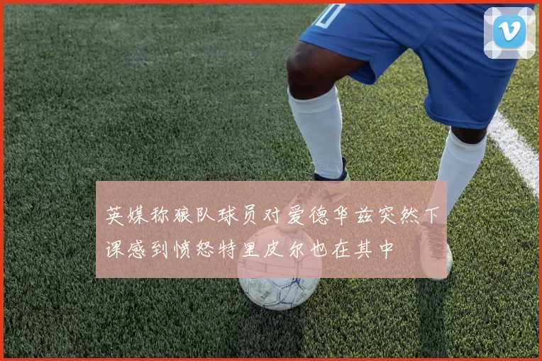 英媒称狼队球员对爱德华兹突然下课感到愤怒特里皮尔也在其中
