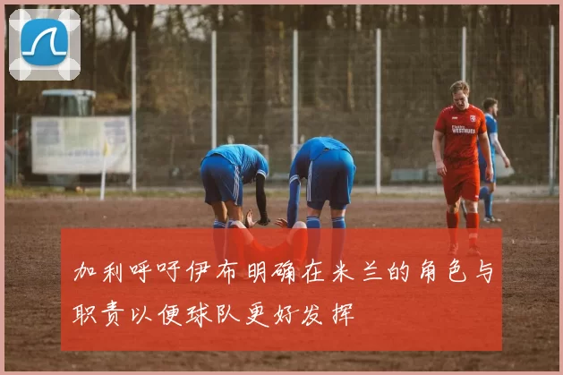 加利呼吁伊布明确在米兰的角色与职责以便球队更好发挥